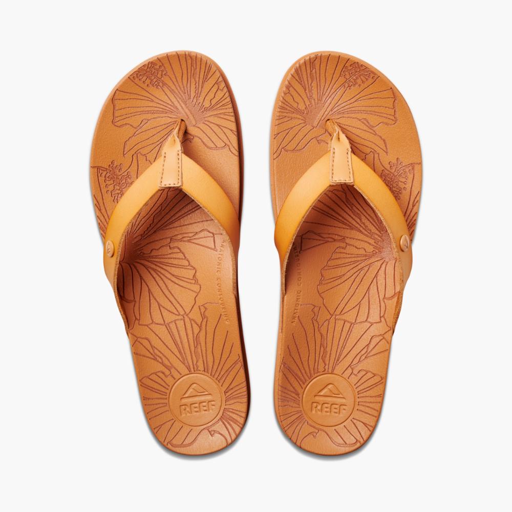 REEF SANDAL CUSHION PORTO CRUZ